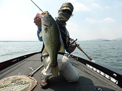 truth news ブログ写真 2013/07/10