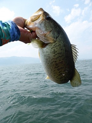 truth news ブログ写真 2013/07/10