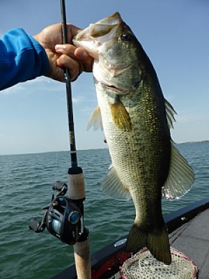 truth news ブログ写真 2013/07/12