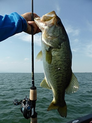 truth news ブログ写真 2013/07/12