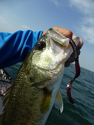 truth news ブログ写真 2013/07/12