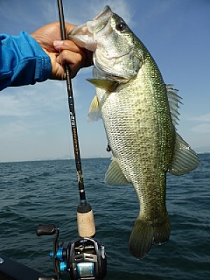 truth news ブログ写真 2013/07/12