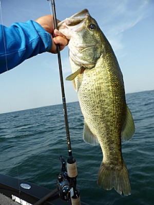 truth news ブログ写真 2013/07/12