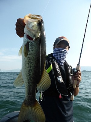 truth news ブログ写真 2013/07/12