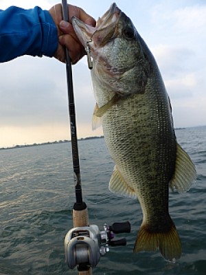 truth news ブログ写真 2013/07/12