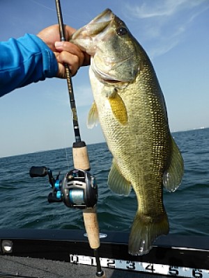 truth news ブログ写真 2013/07/12