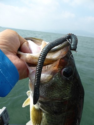 truth news ブログ写真 2013/07/12