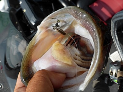 truth news ブログ写真 2013/07/12