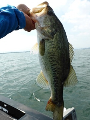 truth news ブログ写真 2013/07/12