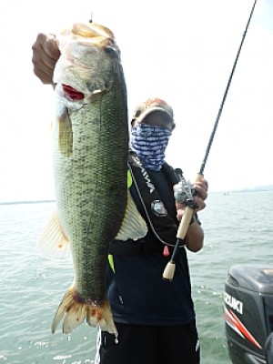 truth news ブログ写真 2013/07/12