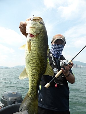 truth news ブログ写真 2013/07/12