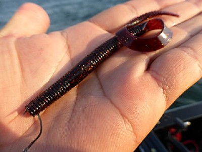 truth news ブログ写真 2013/07/12