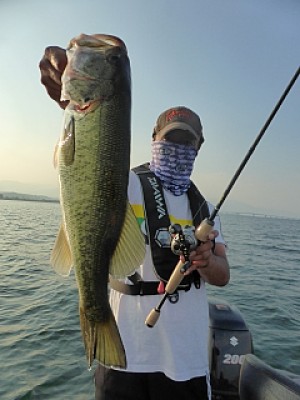 truth news ブログ写真 2013/07/13