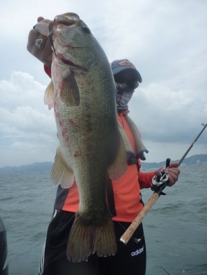 truth news ブログ写真 2013/07/13