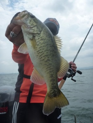 truth news ブログ写真 2013/07/13