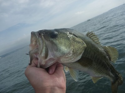 truth news ブログ写真 2013/07/14