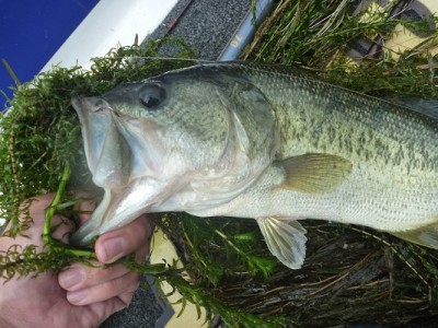 truth news ブログ写真 2013/07/14