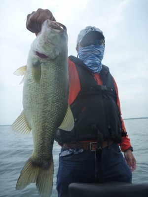 truth news ブログ写真 2013/07/14