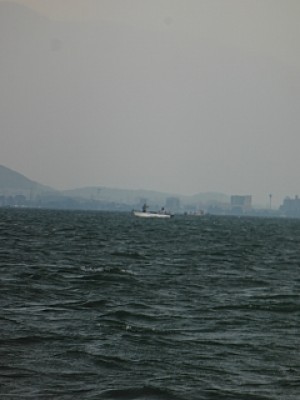 truth news ブログ写真 2013/07/14