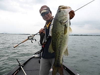 truth news ブログ写真 2013/07/14