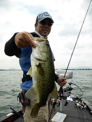 truth news ブログ写真 2013/07/14