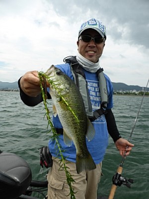 truth news ブログ写真 2013/07/14