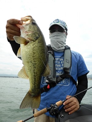 truth news ブログ写真 2013/07/14