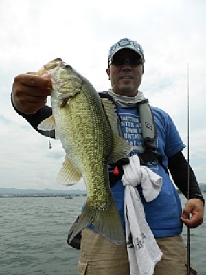 truth news ブログ写真 2013/07/14