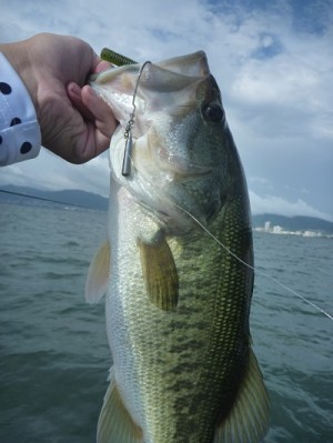 truth news ブログ写真 2013/07/15