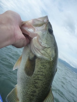 truth news ブログ写真 2013/07/15