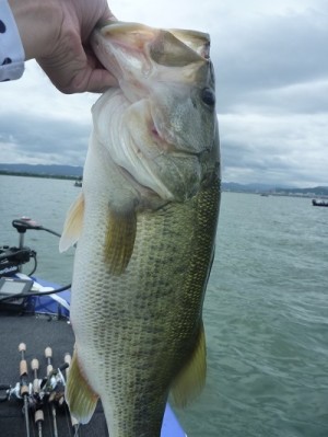 truth news ブログ写真 2013/07/15