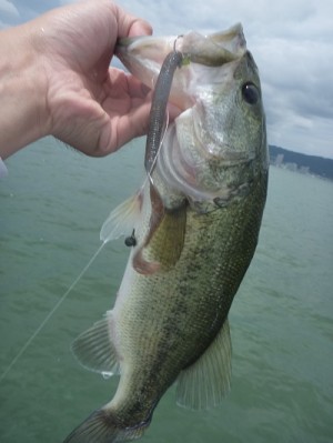 truth news ブログ写真 2013/07/15