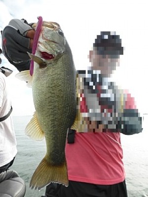 truth news ブログ写真 2013/07/18