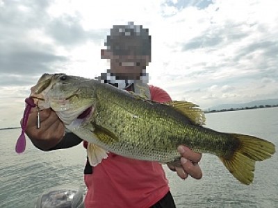 truth news ブログ写真 2013/07/18