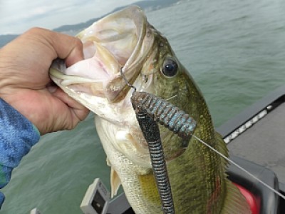 truth news ブログ写真 2013/07/18