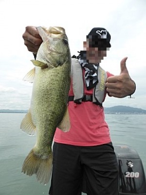 truth news ブログ写真 2013/07/18