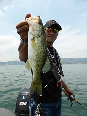 truth news ブログ写真 2013/07/18