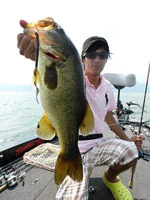 truth news ブログ写真 2013/07/18