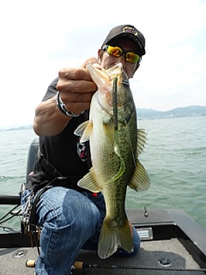 truth news ブログ写真 2013/07/18