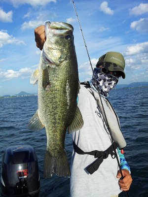 truth news ブログ写真 2013/07/19