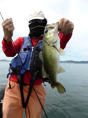 truth news ブログ写真 2013/07/20