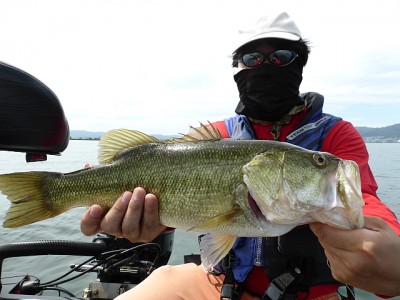 truth news ブログ写真 2013/07/20