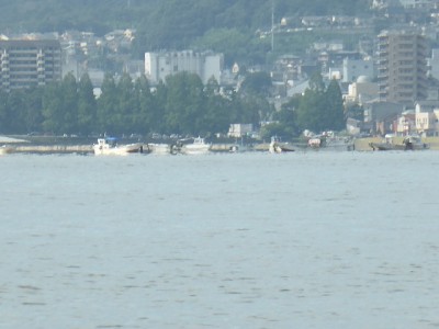 truth news ブログ写真 2013/07/20