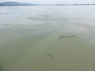 truth news ブログ写真 2013/07/20