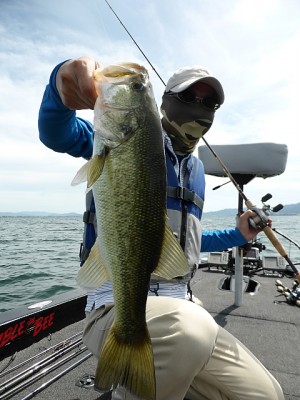 truth news ブログ写真 2013/07/20