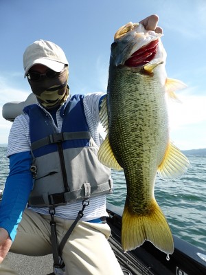 truth news ブログ写真 2013/07/20