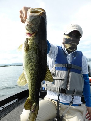 truth news ブログ写真 2013/07/20