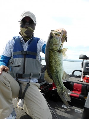 truth news ブログ写真 2013/07/20