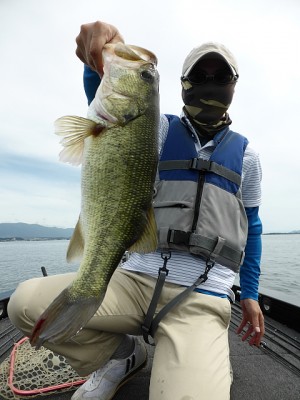 truth news ブログ写真 2013/07/20