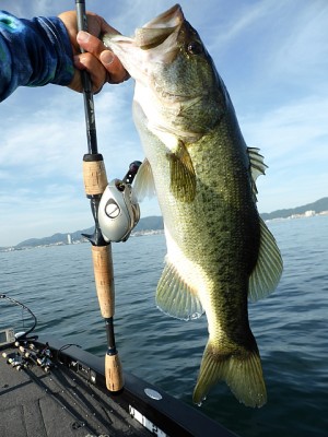 truth news ブログ写真 2013/07/21